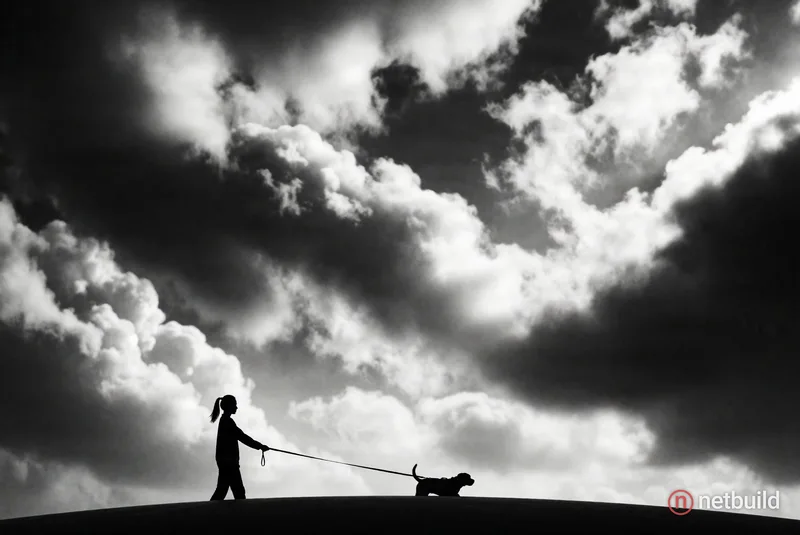 Striking black-and-white wide shot from a low angle, featuring the crisp silhouettes of a ponytail-wearing person and a small dog pulling on a taut le...