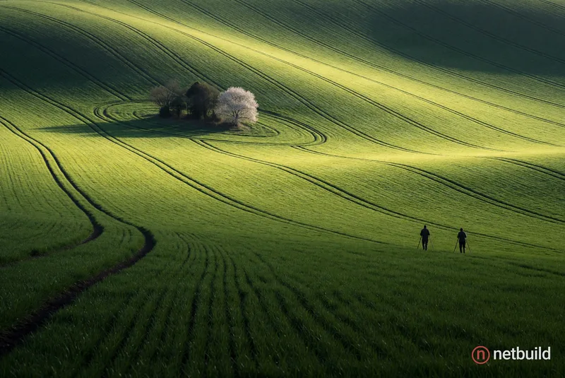 Vast landscape of smooth, rolling hills covered in vibrant green grass with curving agricultural tracks creating rhythmic linear textures. In the midd...